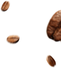 Kopiko Official Site